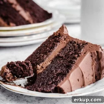 Moist Gluten-Free Chocolate Cake Recipe 14 slice of chocolate cake on a plate with fork ful removed showing moist and tender sponge and creamy frosting.