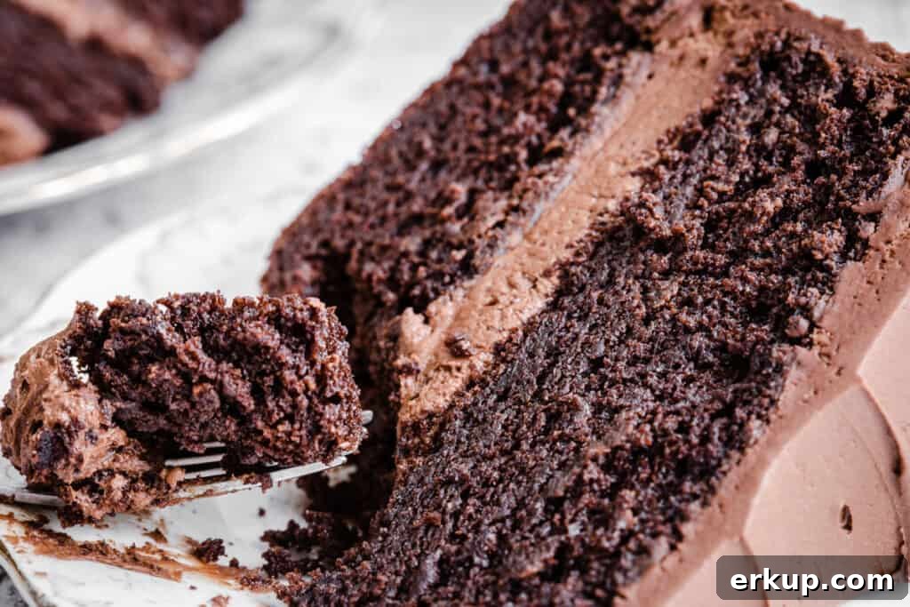 Moist Gluten-Free Chocolate Cake Recipe 3 close up of chocolate cake