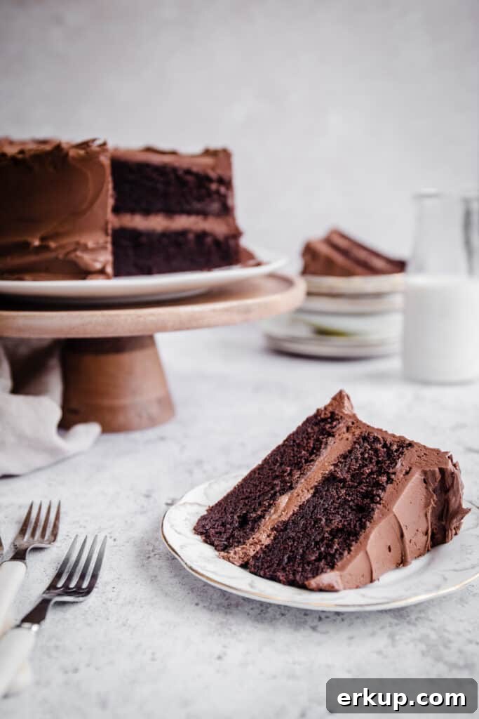 Moist Gluten-Free Chocolate Cake Recipe 5 Slice of chocolate cake on a plate in front of whole cake on a stand