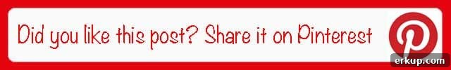 Share on Pinterest Banner2