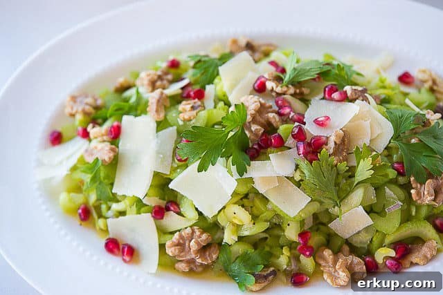 Celery Salad - On White Platter with Pomegranate and Cheese