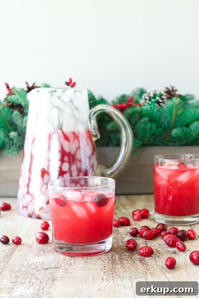 Skinny Cranberry Vodka Christmas Punch
