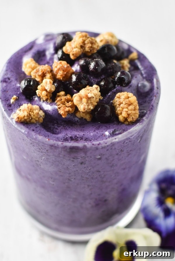 Creamy Sunflower Seed Butter and Maca Smoothie Recipe 8 A healthy blueberry smoothie topped with mulberries.