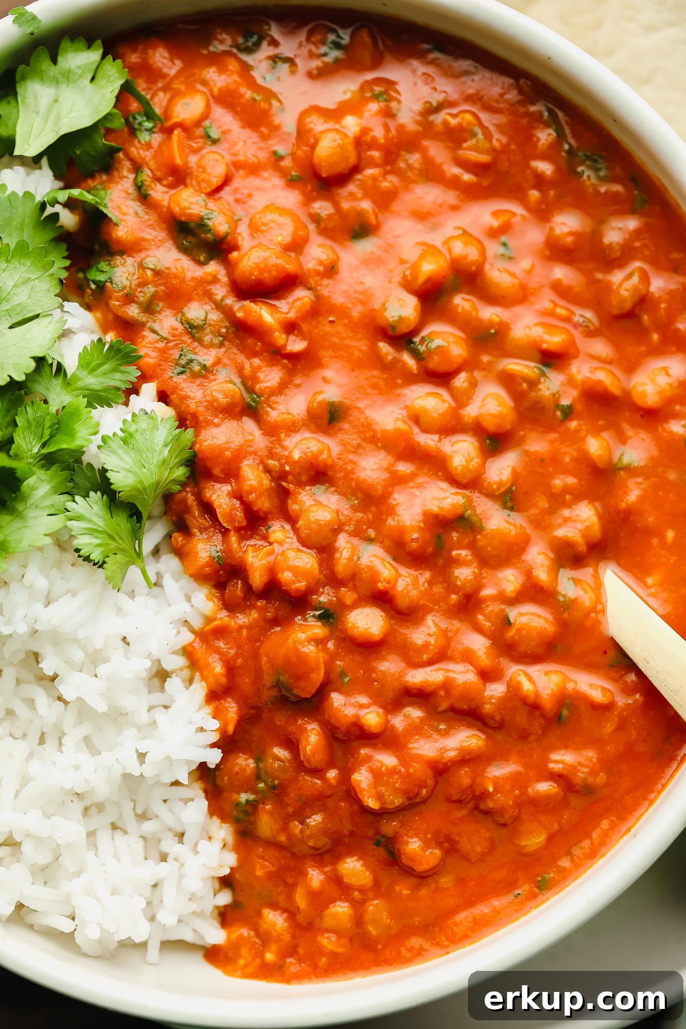 close up on lentil curry with white rice in a white bowl.