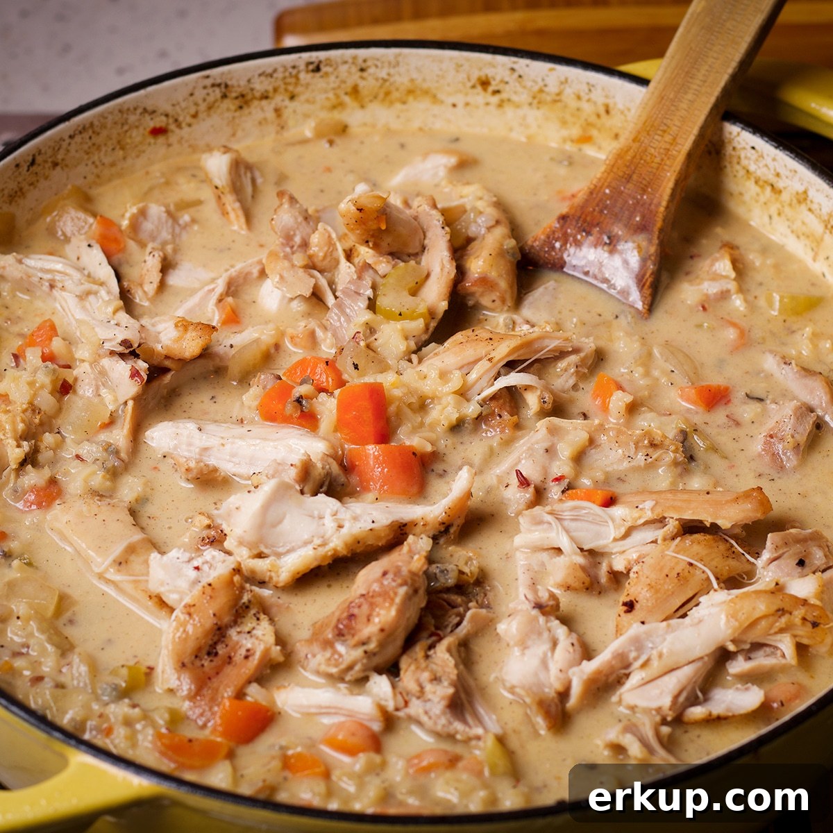 Add the shredded chicken back to the soup.