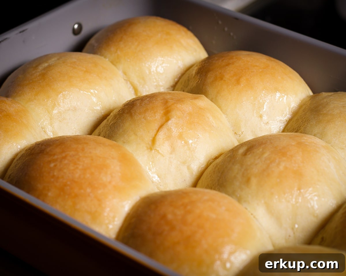 A pan of dinner rolls, freshly baked and still warm.
