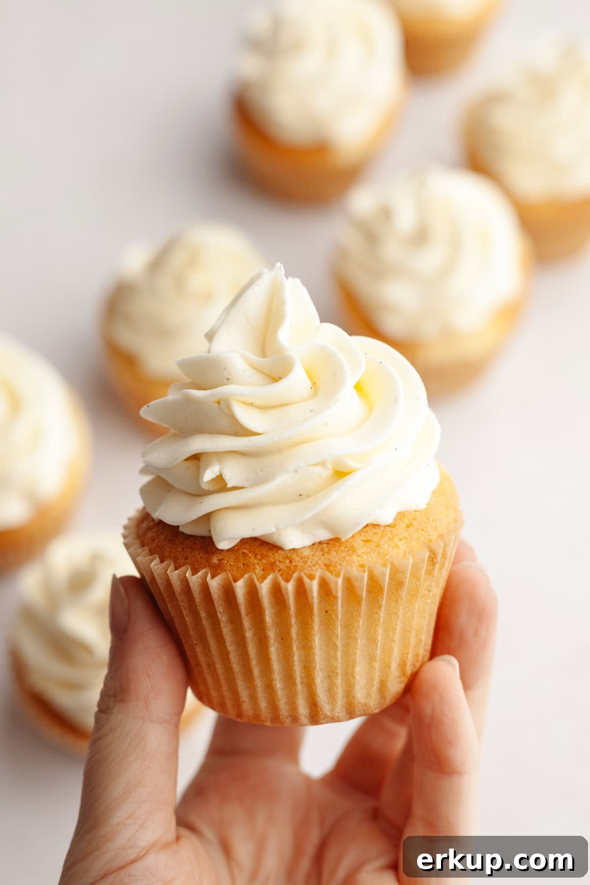 A hand holding a vanilla cupcake with vanilla bean buttercream.