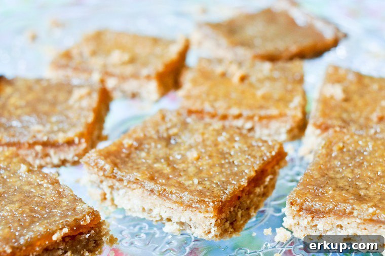 Vegan Lemon Squares Recipe