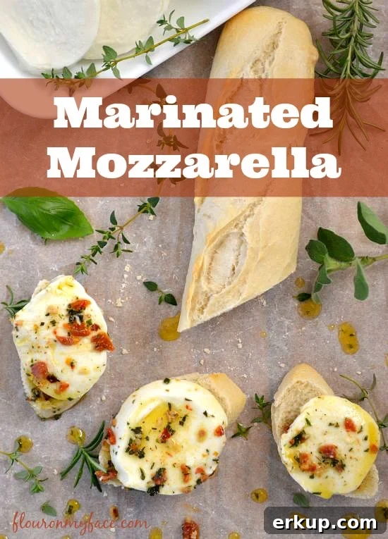 Easy appetizer recipe Marinated Mozzarella via flouronmyface.com