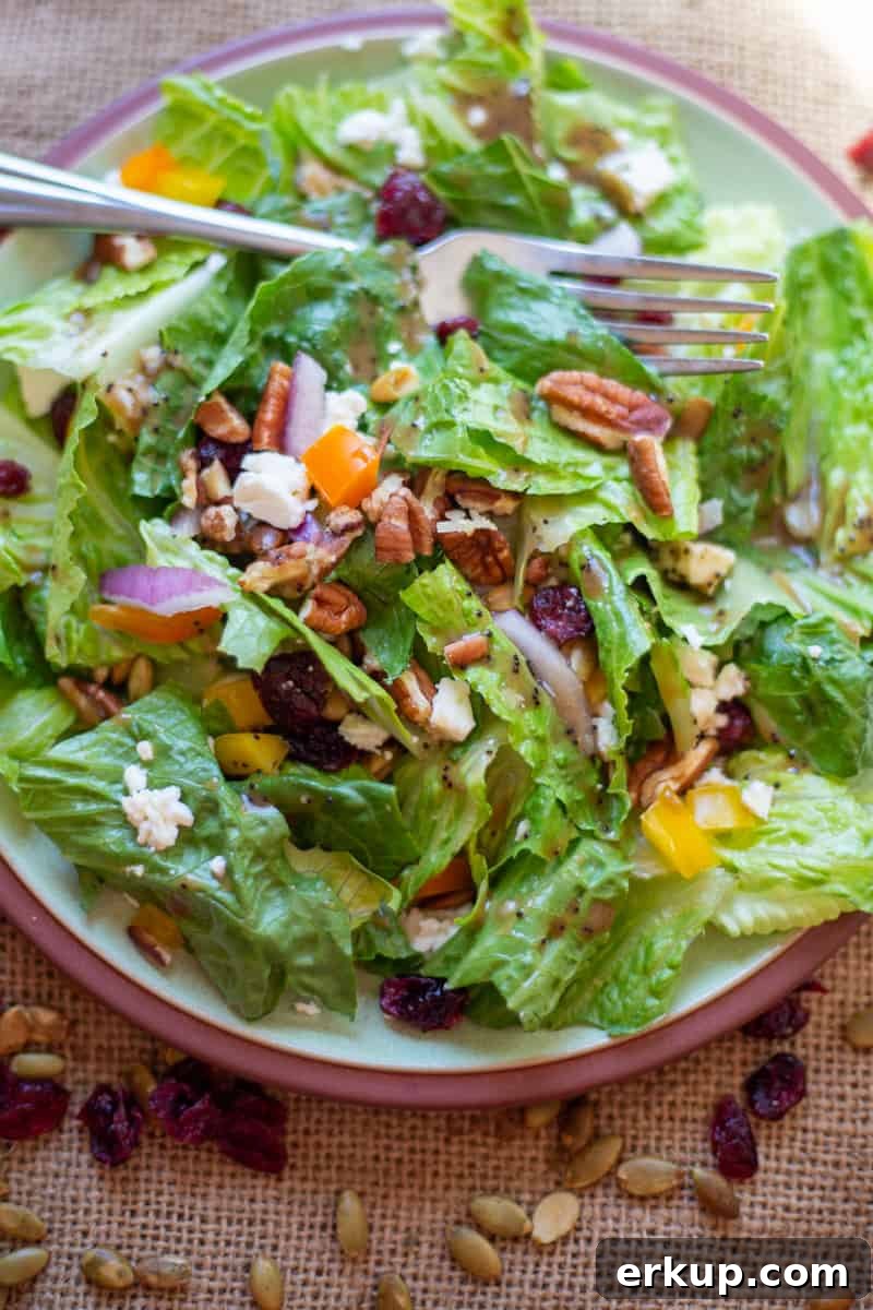 the salad on green plate with fork