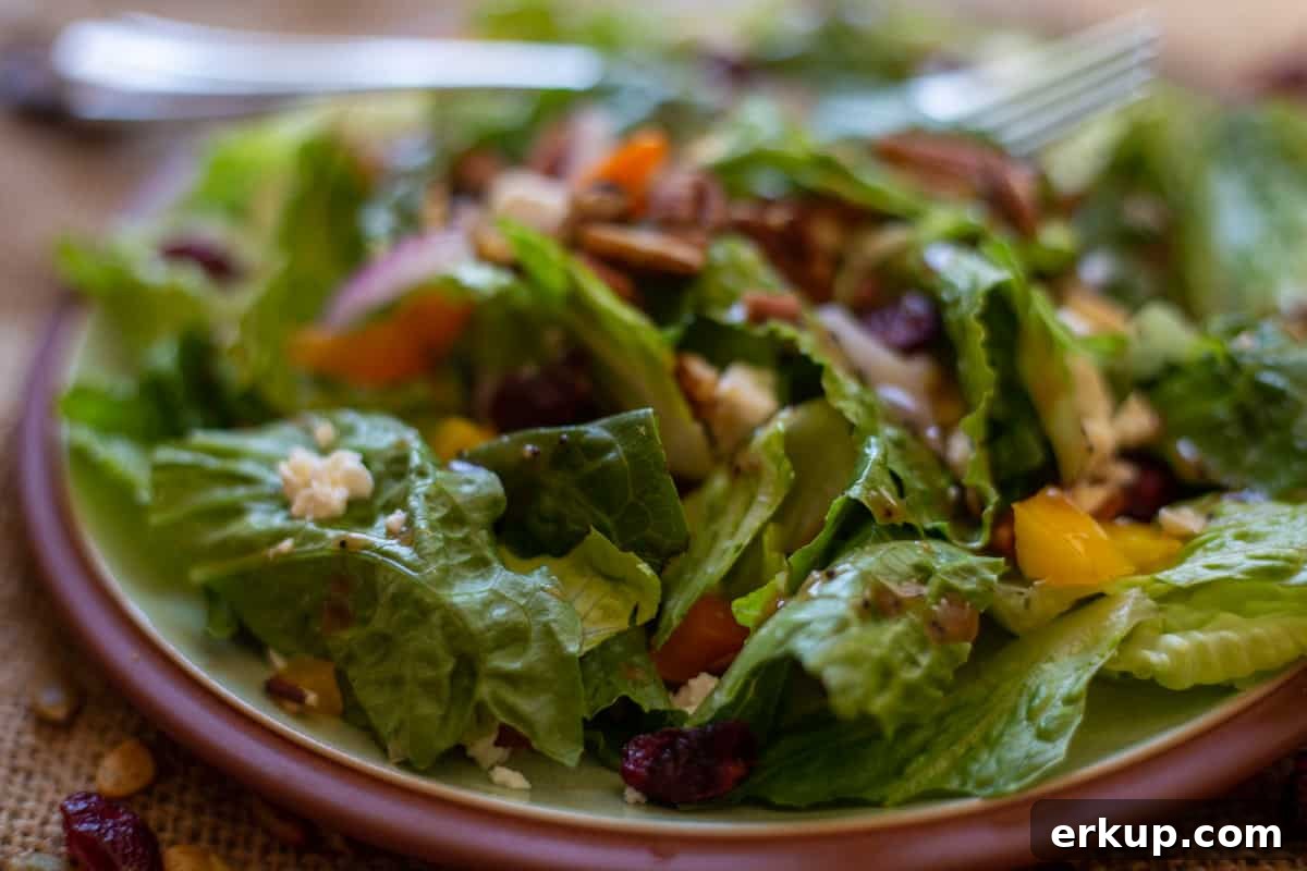 the salad on plate with fork