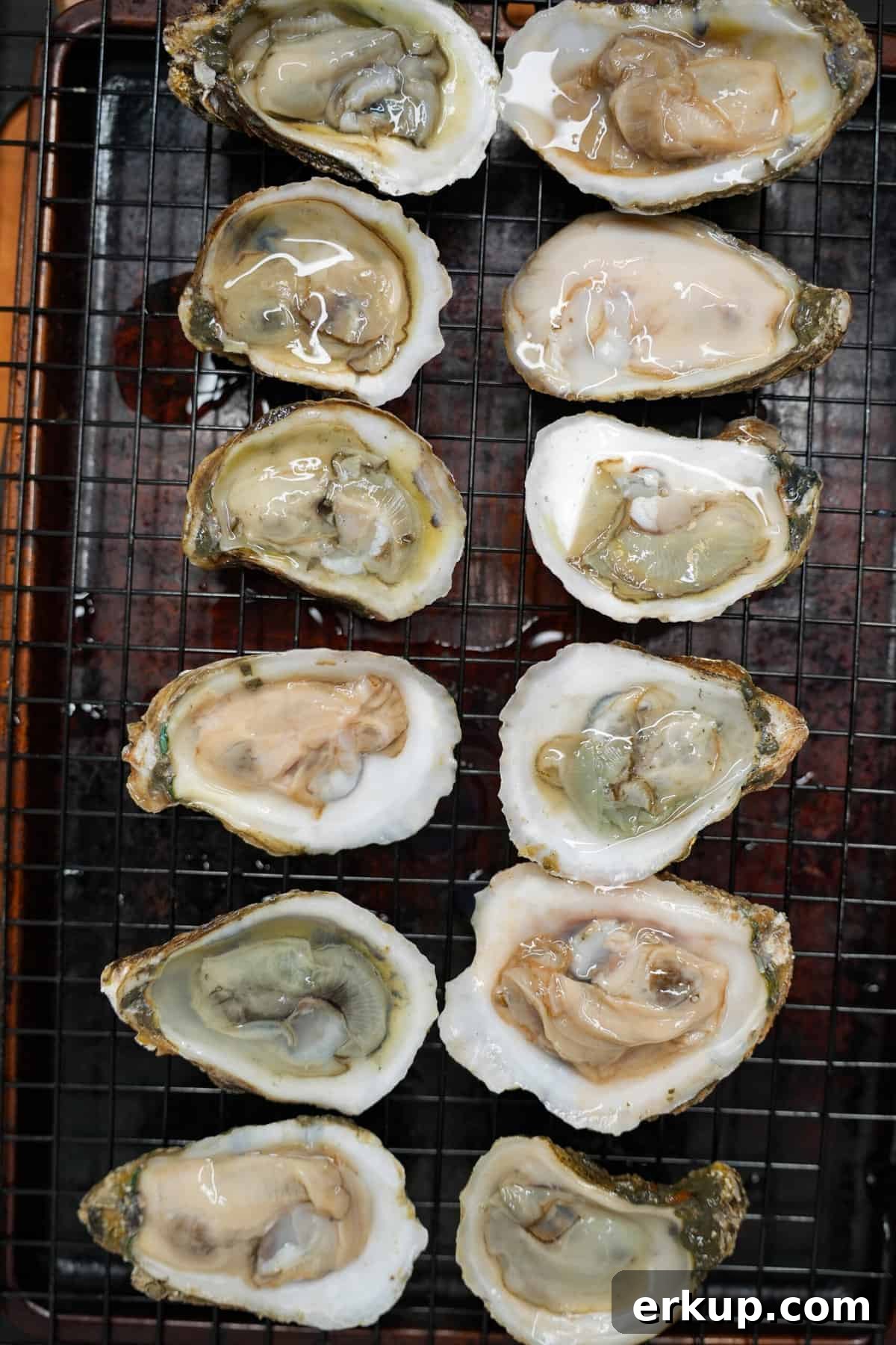 The shucked oysters for our billionaire's breakfast.