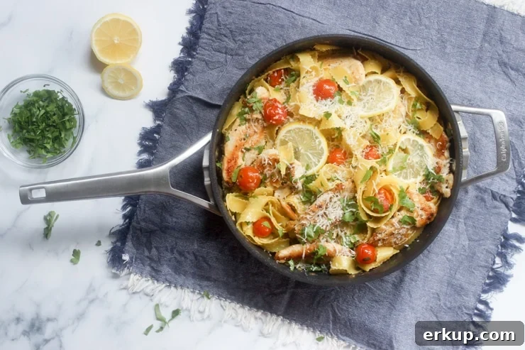 overhead shot of chicken pasta dish