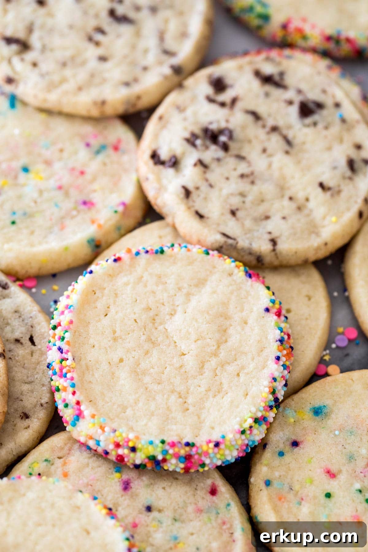 How to Make Classic Icebox Cookies 2 Cookies rolled in sprinkles and mixed with chocolate