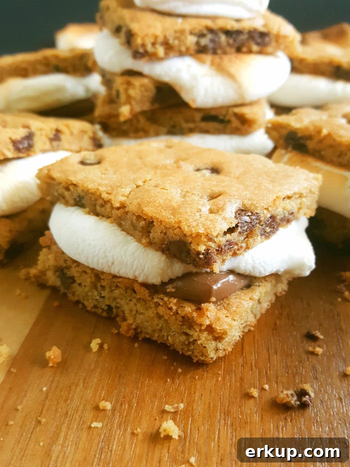 3 Ingredient Chocolate Chip Cookie S’mores - These easy Chocolate Chip Cookie indoor oven S'mores are the perfect summer dessert. They're gooey and delicious!