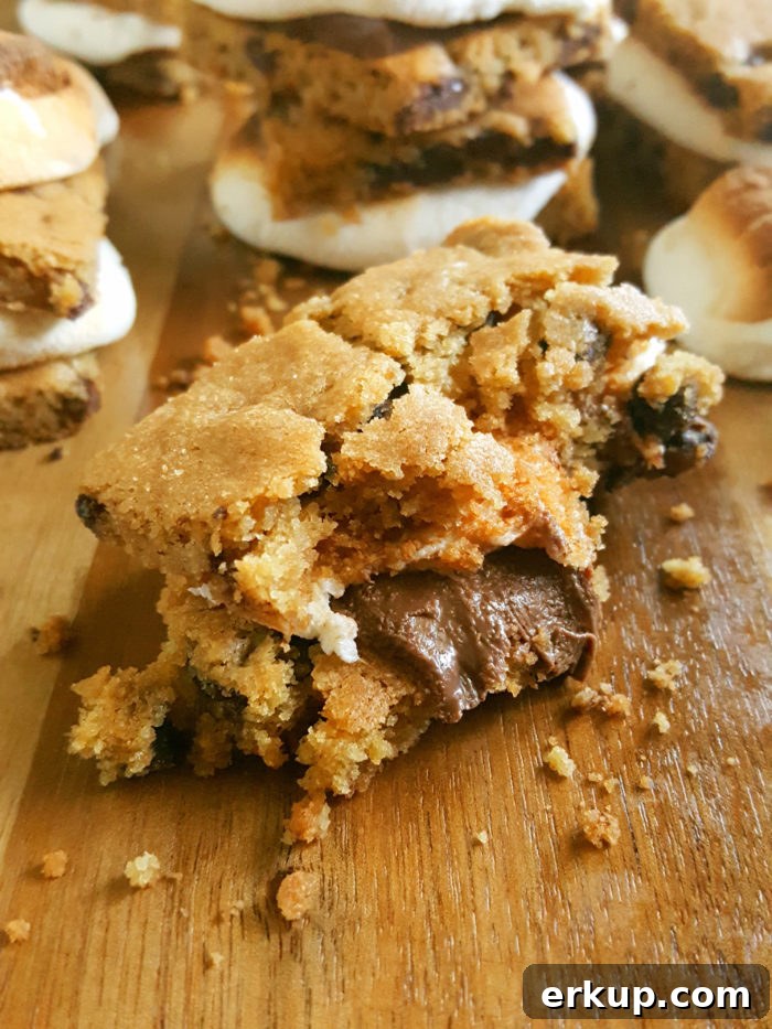 3 Ingredient Chocolate Chip Cookie S’mores - These easy Chocolate Chip Cookie indoor oven S'mores are the perfect summer dessert. They're gooey and delicious!