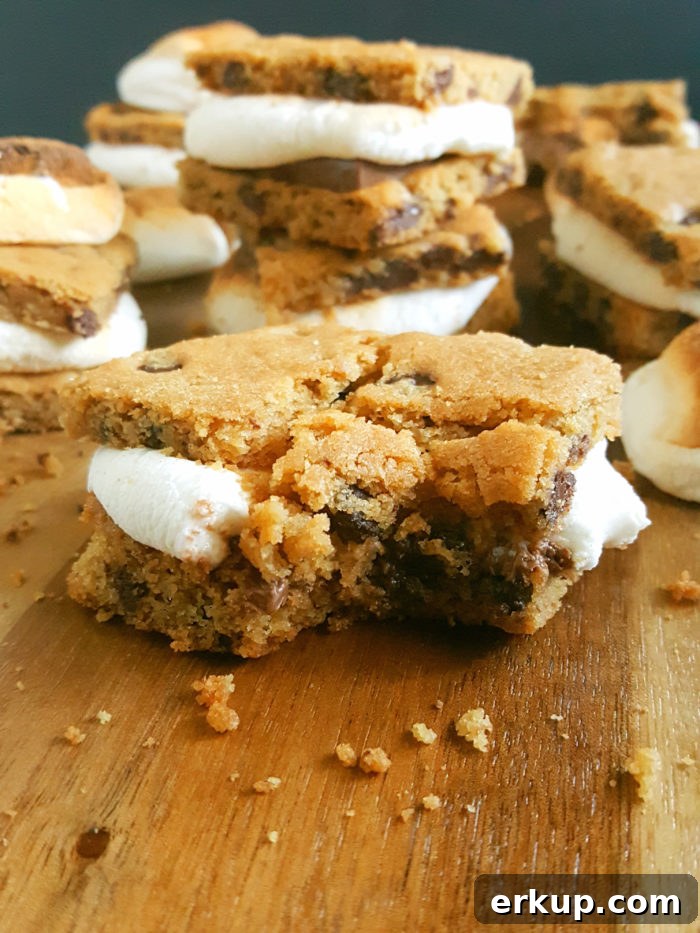 3 Ingredient Chocolate Chip Cookie S’mores - These easy Chocolate Chip Cookie indoor oven S'mores are the perfect summer dessert. They're gooey and delicious!