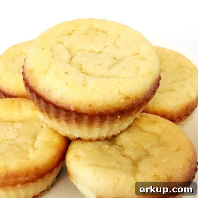 Cinnamon Spice Keto Muffins