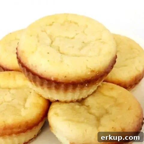 Cinnamon Spice Keto Muffins