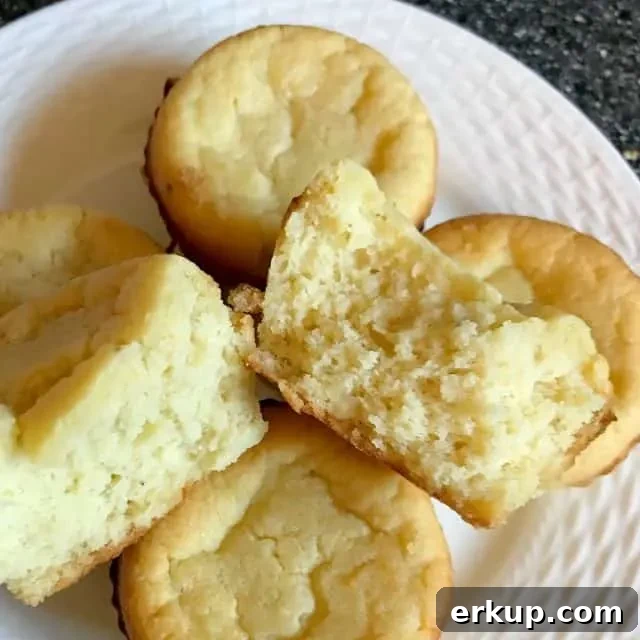 Fresh cinnamon spice keto muffins