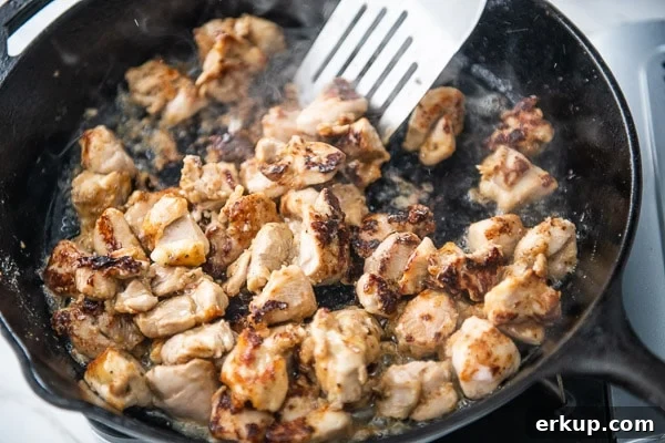 Chicken Browned