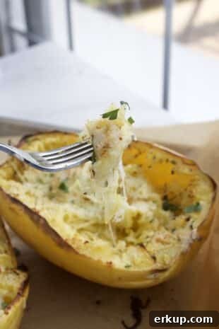 Roasted Garlic Spaghetti Squash with Melted Cheese 3 roasted spaghetti squash half with melted cheese and herbs with a fork pulling up the shredded squash
