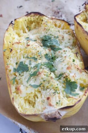 Roasted Garlic Spaghetti Squash with Melted Cheese 4 roasted spaghetti squash half with melted cheese and herbs