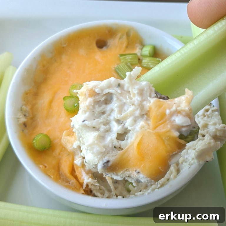 9 Sweet and Savory Low-Calorie Dip Recipes for Snacking 8 delicious low fat cheesy chicken dip