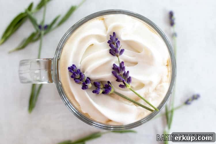 How to Make Lavender Coffee at Home 12 lavender coffee recipe garnished with whipped cream