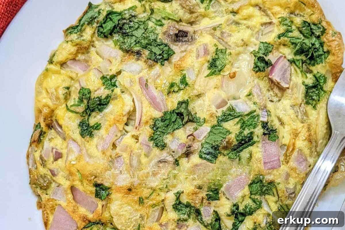 Omelette in a plate