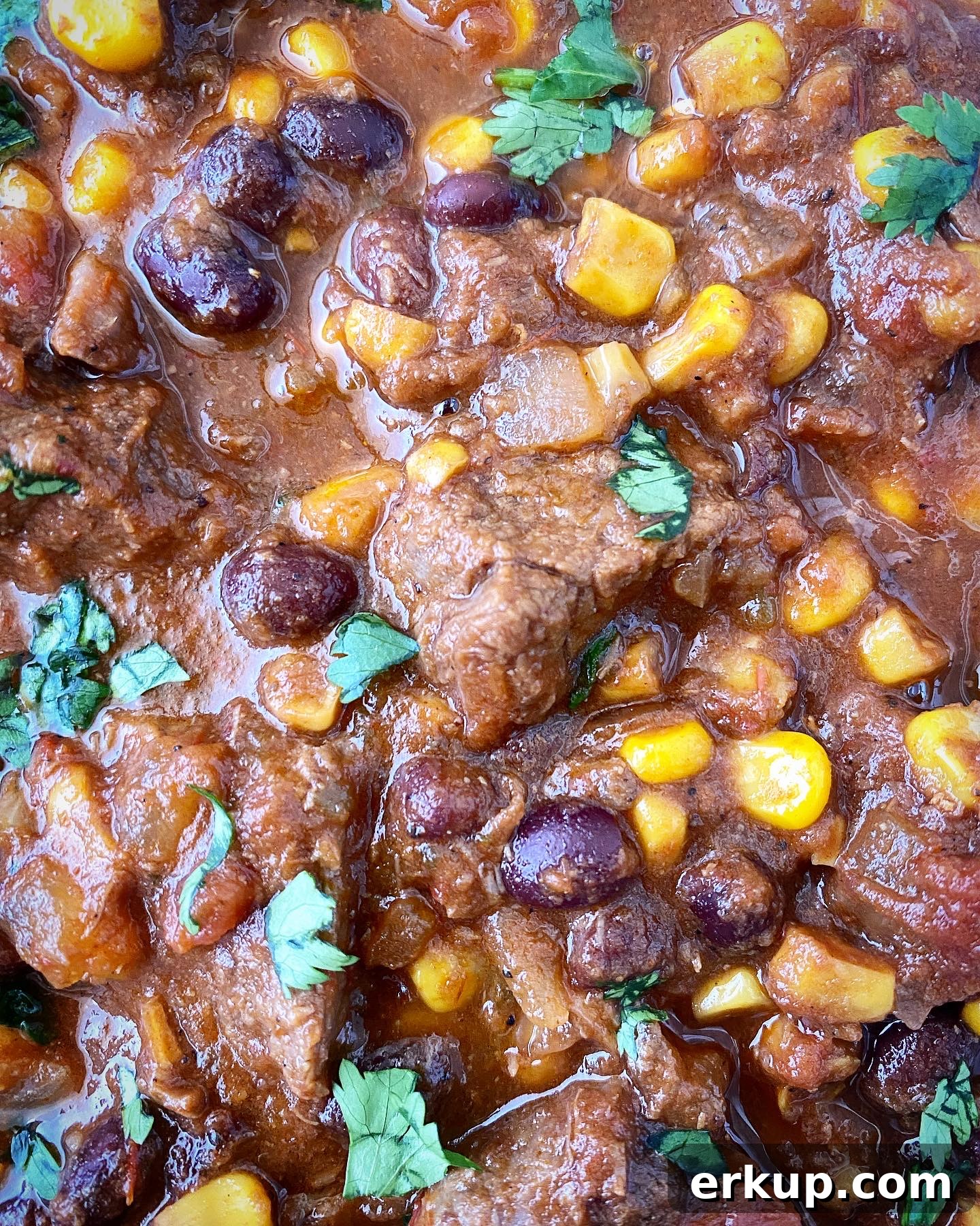 Slow Cooker Salsa Beef Stew Recipe 6 close up shot of cooked salsa beef stew garnished with fresh cilantro