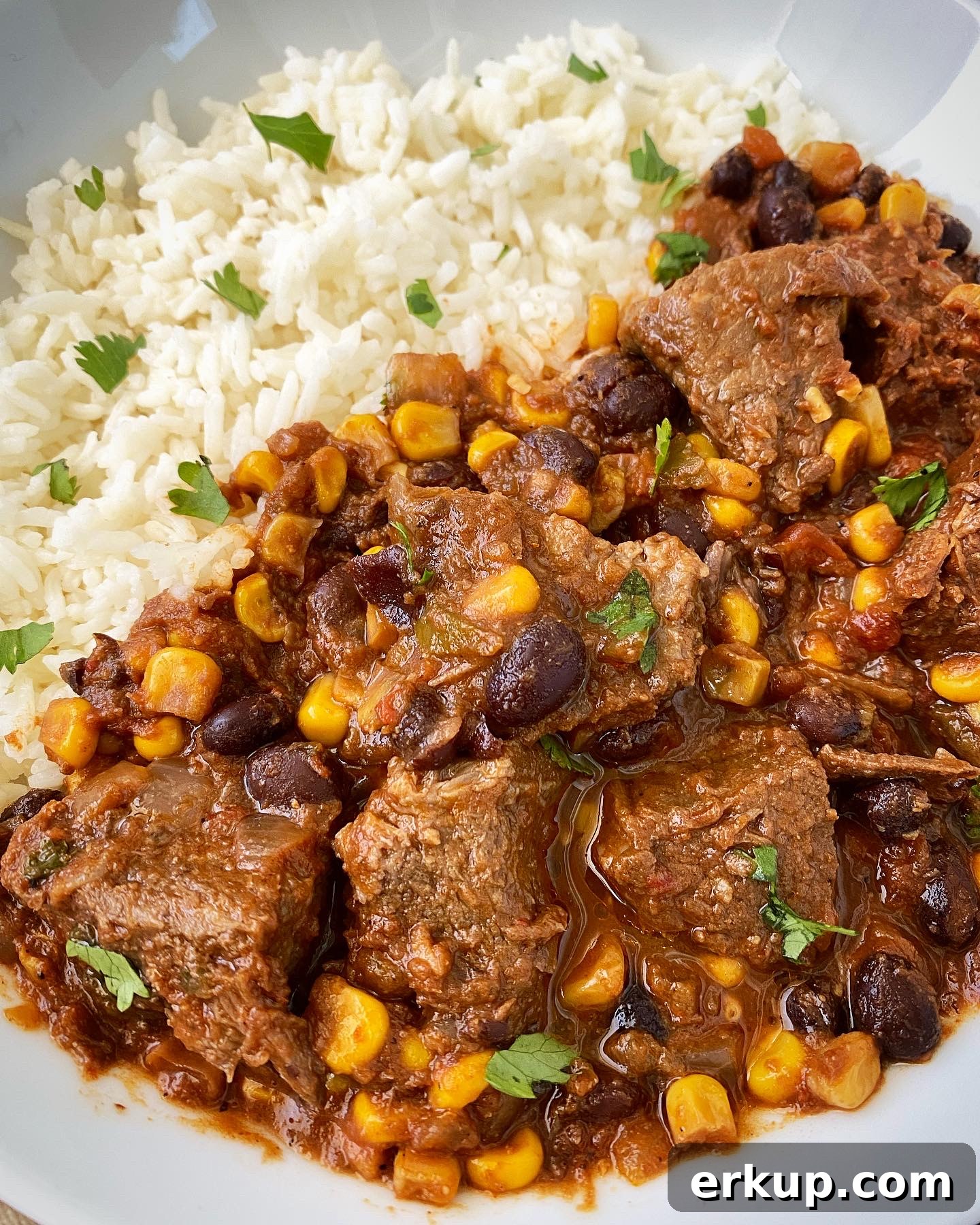 Slow Cooker Salsa Beef Stew Recipe 7 close up shot of salsa beef stew in a white bowl served with white rice garnished with cilantro