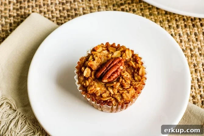 baked oatmeal recipe included in Weight Watchers low point snacks.