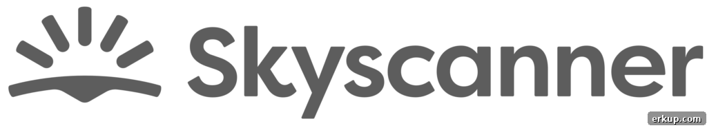 Skyscanner logo