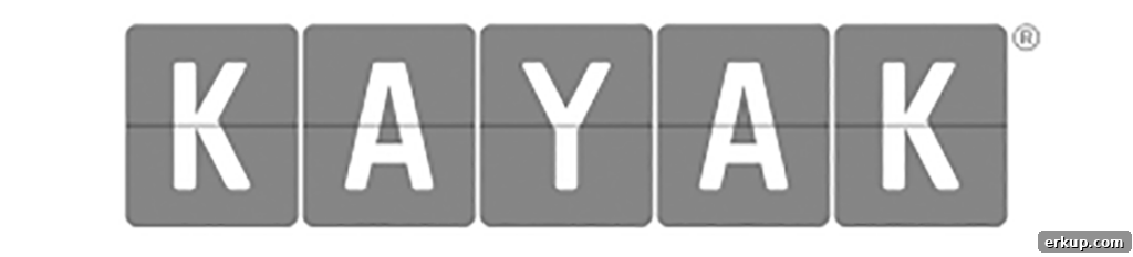 Kayak logo