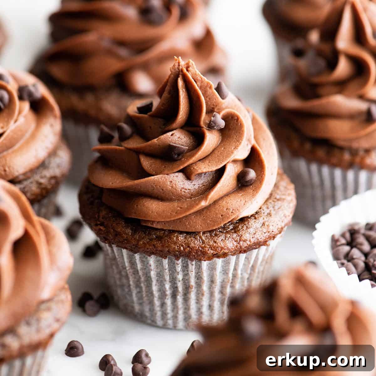 front view of chocolate cupcakes with chocolate frosting