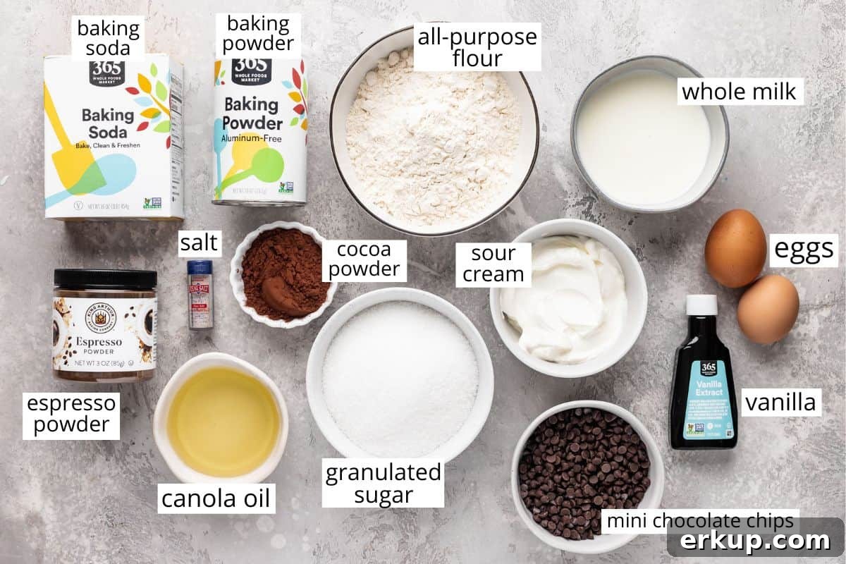overhead view of the labeled ingredients in this chocolate cupcake recipe