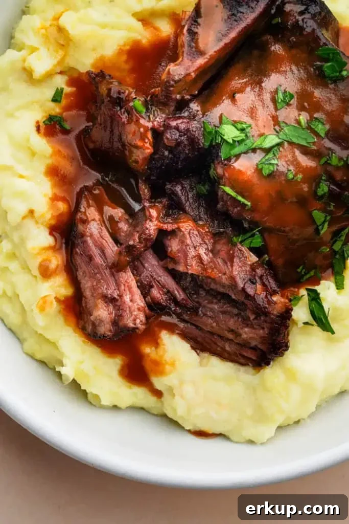 red wine short ribs
