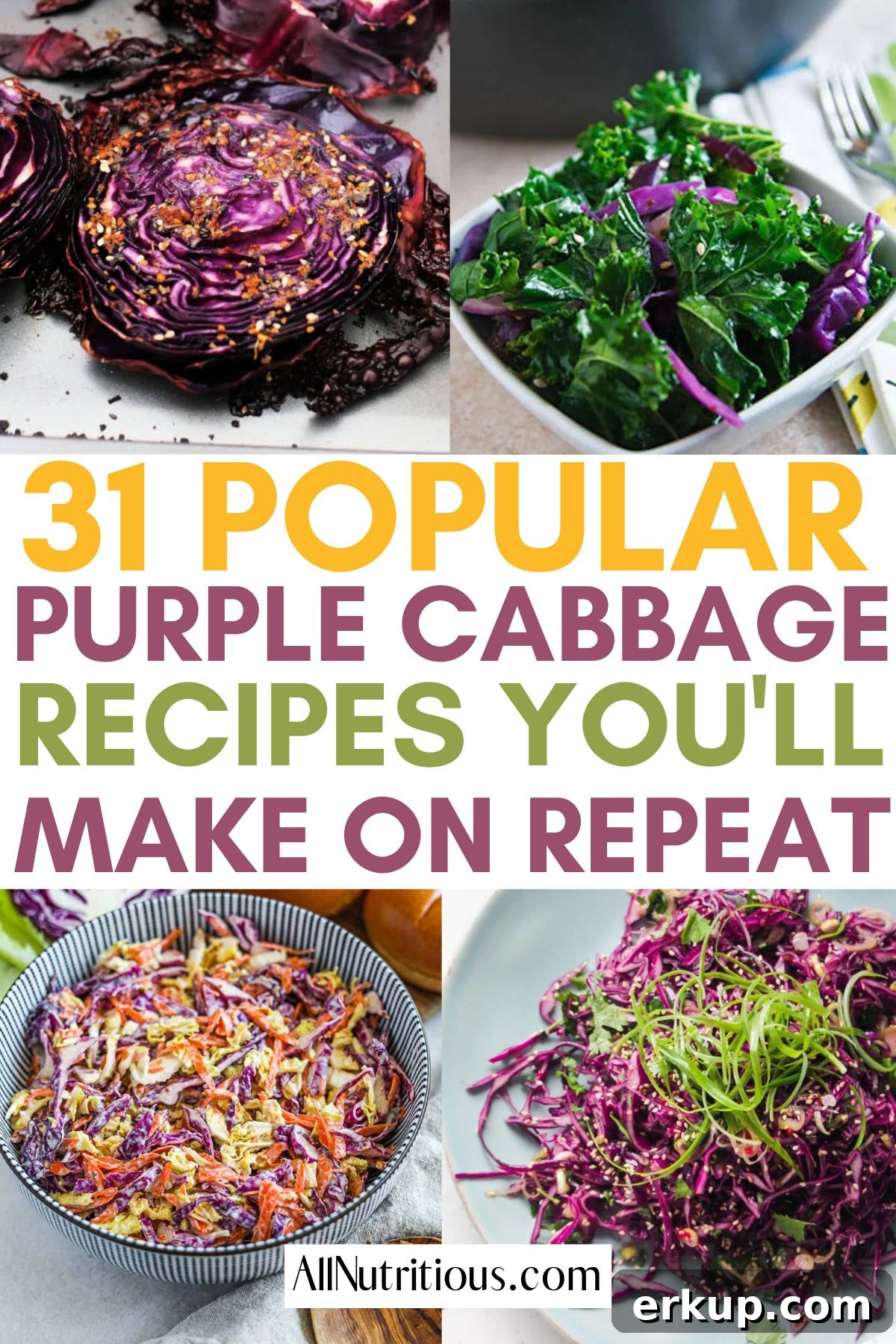 purple cabbage recipes