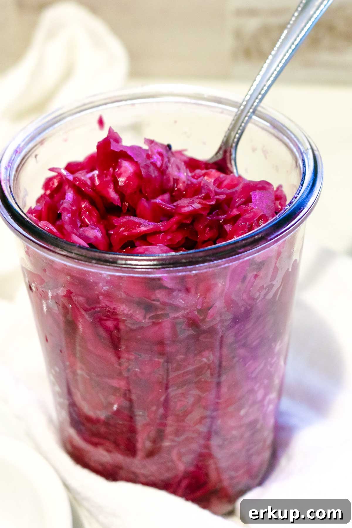 cabbage sauerkraut