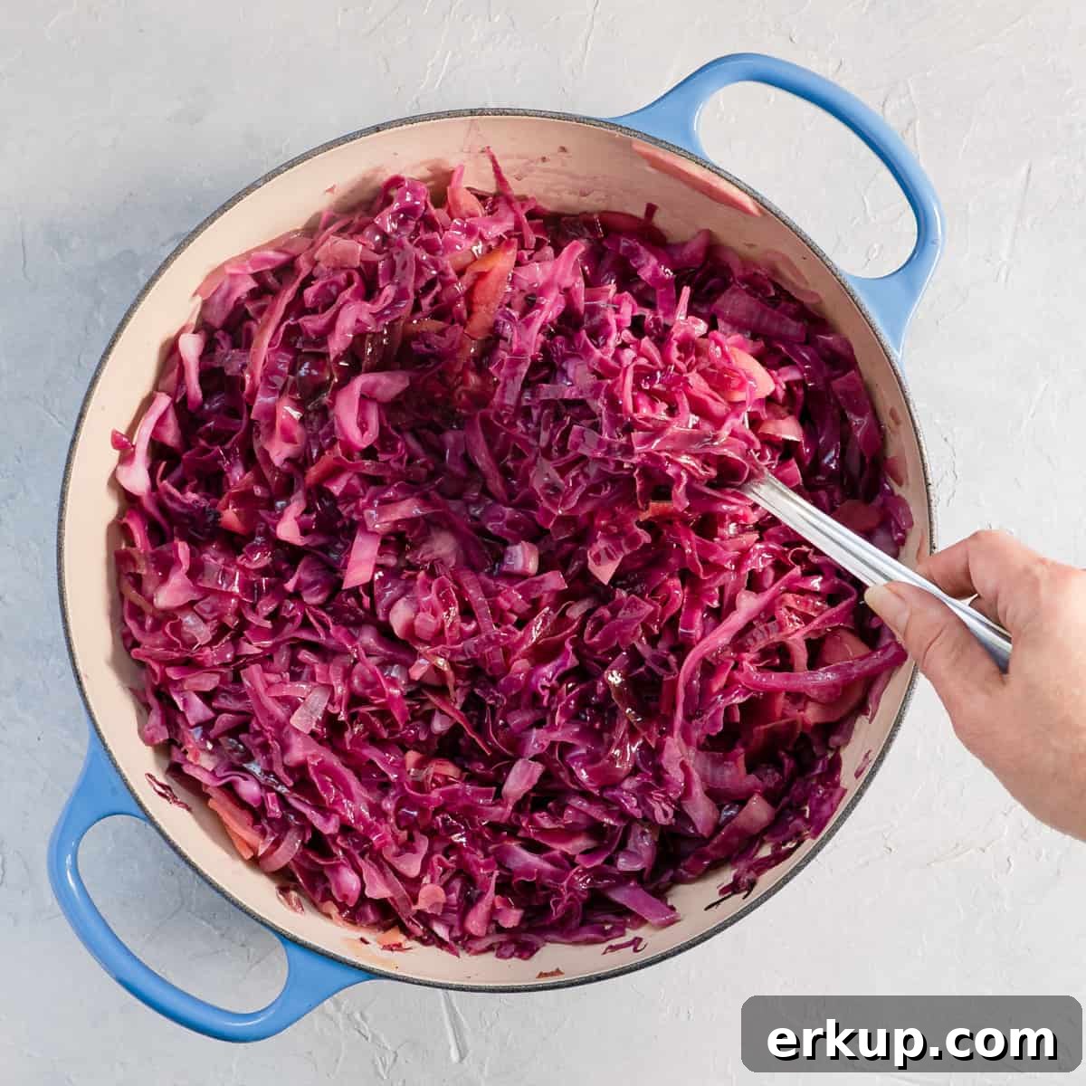 braised cabbage with onions and apples