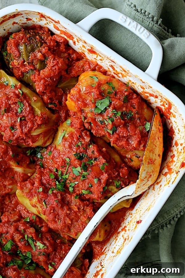Close-up of baked cabbage rolls