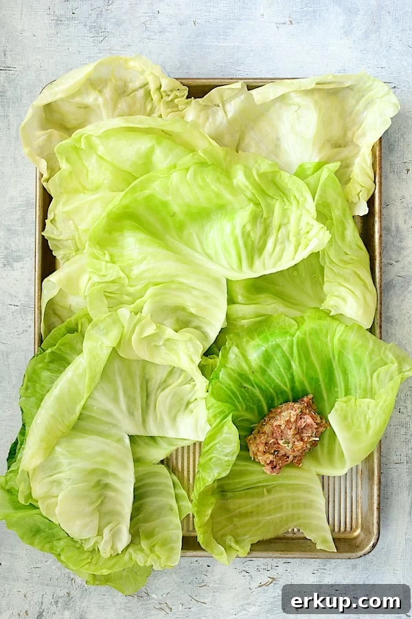 Cabbage leaves with filling on a baking sheet