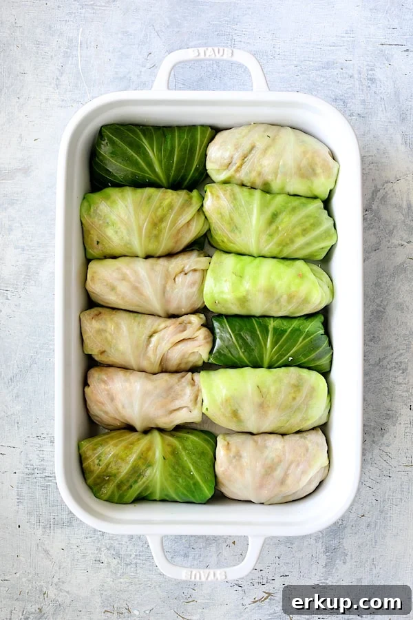Rolled cabbage leaves placed in baking dish