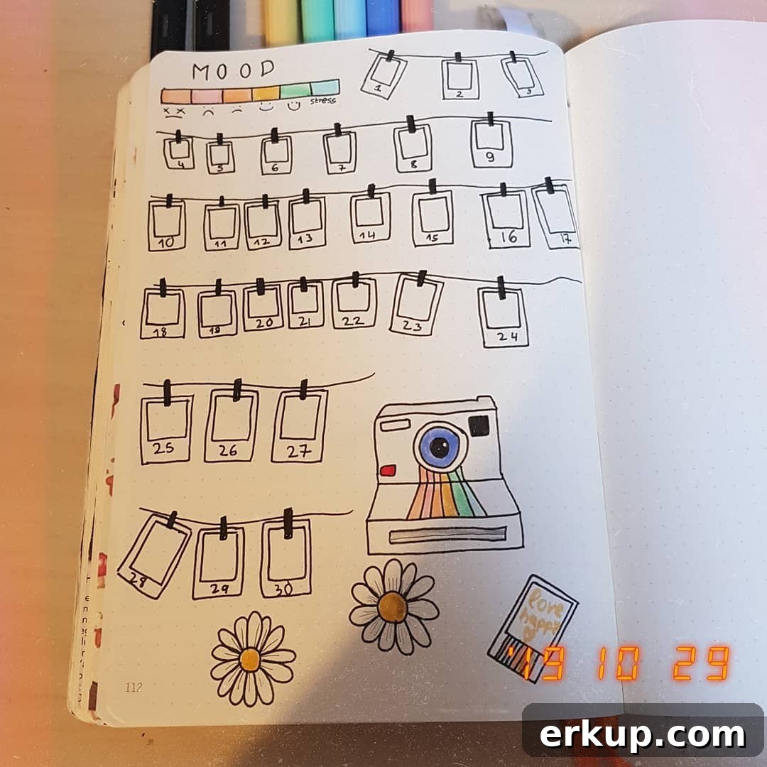 25 Creative Bullet Journal Mood Tracker Ideas 5 Polaroid Camera