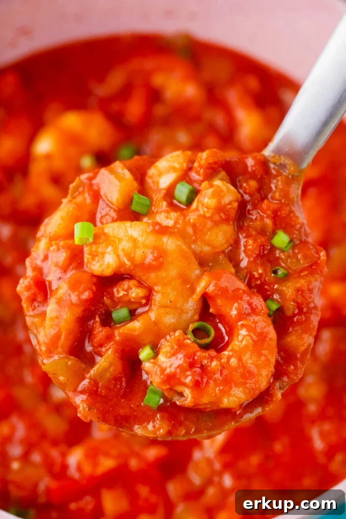 A ladle of shrimp creole.