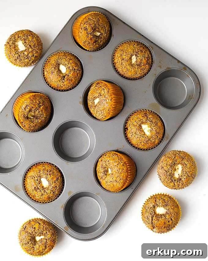 Orange Chocolate Cream Cheese Muffins in a muffin tin on a white background