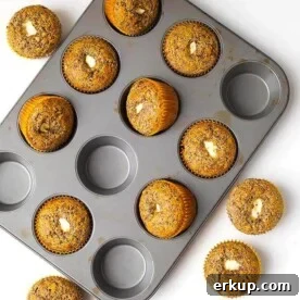 Orange Chocolate Cream Cheese Muffins in a muffin pan on a white background