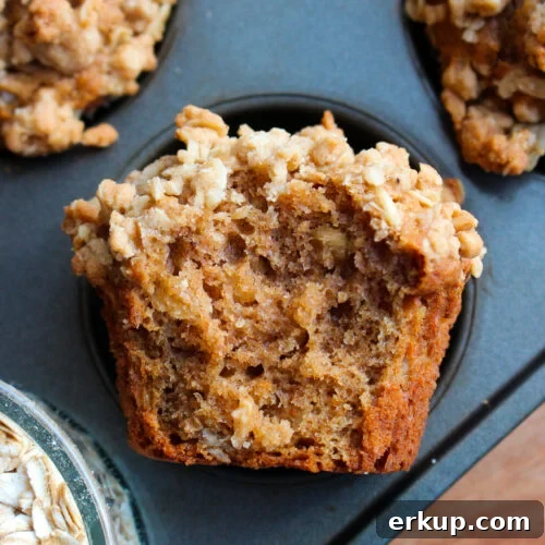 Cinnamon oatmeal streusel muffins