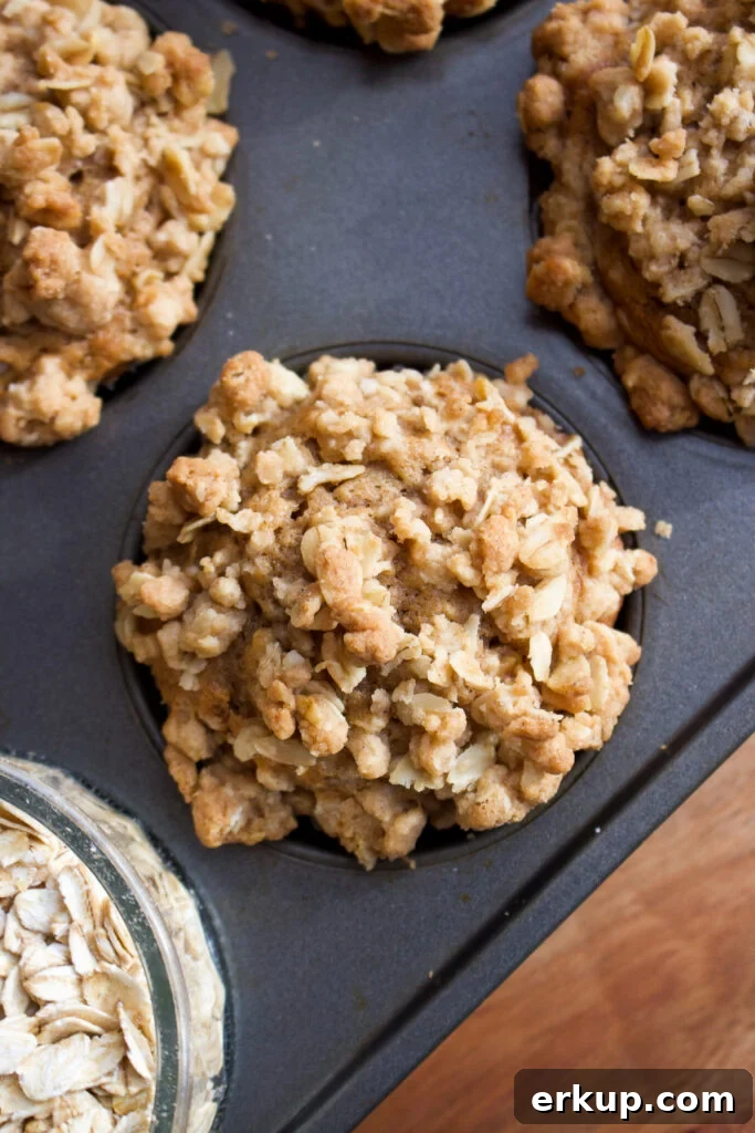 Plate of cinnamon oatmeal streusel muffins